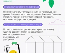 Начало весны: пора оживлять ваш сад