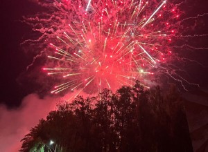 Если вы вчера не видели салют в честь 80-летия атомной промышленности