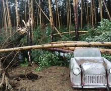 Как вести себя во время бури: полезные советы для жителей Заречного