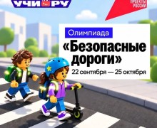 Школьников Заречного приглашают проверить знания на олимпиаде «Безопасные дороги»