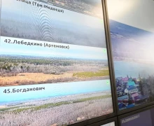 Почти 1,5 миллиона гектаров уральских лесов дополнительно охватили новыми камерами видеонаблюдения