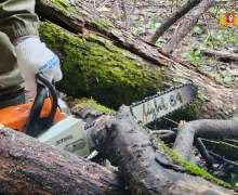 Шарташский лесной парк стал центральной площадкой всероссийского субботника «Зеленая Россия» в нашем регионе