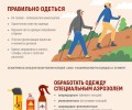 Жителям и гостям Свердловской области необходимо усилить меры защиты от клещей