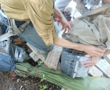 Зооспасатель из Екатеринбурга восхищен отзывчивостью жителей Заречного