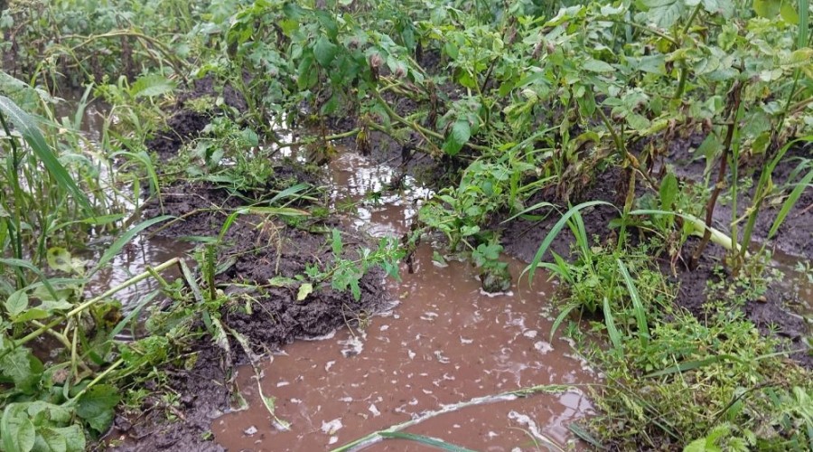 Заречный под водой: как дождливое лето изменило жизнь города и окрестностей