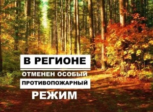Особый противопожарный режим отменен в Свердловской области, но не везде