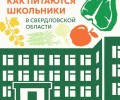 Как устроено питание в школах Свердловской области