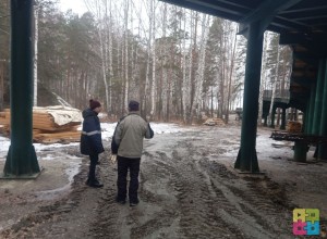 Лестницу к берегу в Экопарке достроили