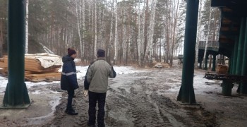 Лестницу к берегу в Экопарке достроили