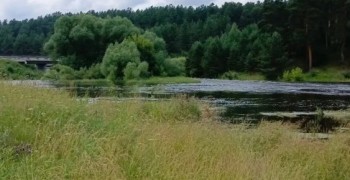 В Белоярском районе усилены меры безопасности на водоемах в купальный сезон
