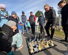 Отличный день для прогулки!