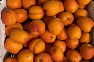Нектарин, персик, абрикос — продажа ящиками