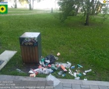 Уборка в экопарке Заречного: горожан просят не оставлять мусор рядом с переполненными урнами