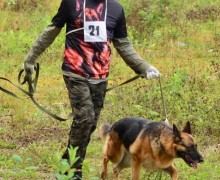 В субботу, 16 августа, под Асбестом прошла Гонка героев, в которой участвовали команды человек и собака