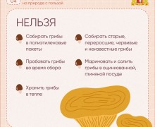 Судя по прогнозам синоптиков, нас ждут теплые выходные!