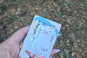 Найдена потеря: хозяину нужно позвонить по номеру 89826061290