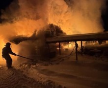 Пожар в деревне Боярка унёс жизни 15 лошадей