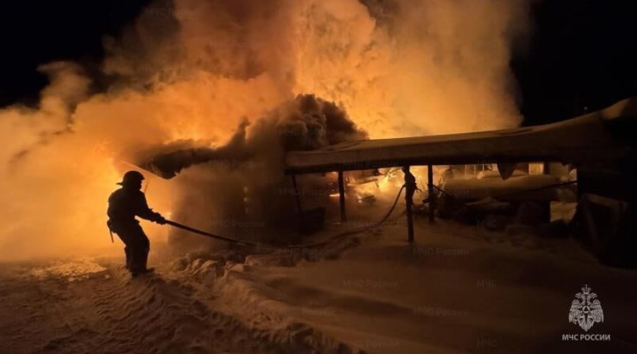 Пожар в деревне Боярка унёс жизни 15 лошадей