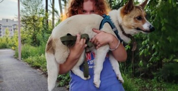 Волонтёры из Заречного обучают собак из приюта хорошим манерам в академии «Мокрый нос»