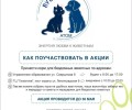 Одна из самых добрых общегородских акций - Пушистый атом - стартовала!
