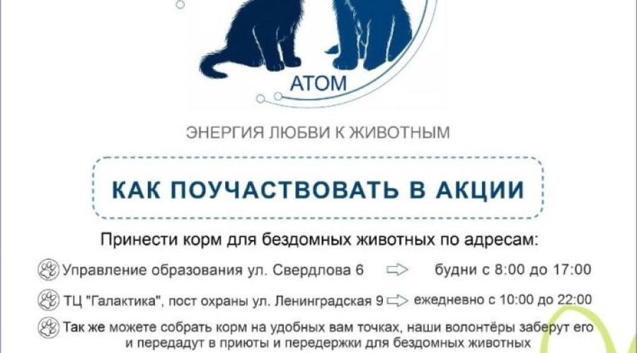 Одна из самых добрых общегородских акций - Пушистый атом - стартовала!
