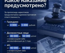 Ответственность за пропаганду наркотиков: напоминание жителям Заречного