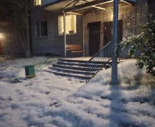 Вам кажется, что в Екатеринбурге многовато тополиного пуха?