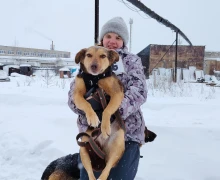 В выходные зареченские собачники соревновались в Асбесте на Зарничке