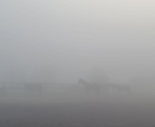 В понедельник Заречный и близлежащие деревни сёла накрыл туман