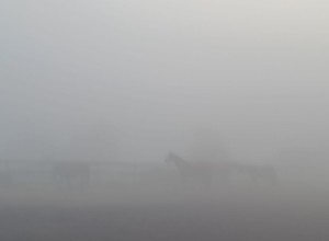 В понедельник Заречный и близлежащие деревни сёла накрыл туман