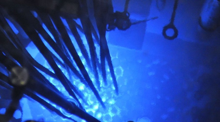 Главные по науке