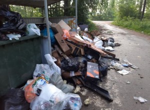 На Муранитной улице в Заречном ликвидировали скопление мусора