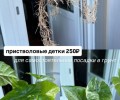Алоказия Одора батик вариегатная