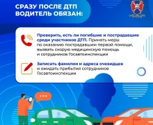 Что должен знать автомобилист, попавший в ДТП