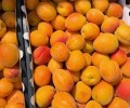Фрукты и овощи: абрикос, нектарин, персик, слива, черешня, помидоры, огурцы