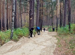 Городские власти готовы рассмотреть вариант расчистки леса у водохранилища, но жители не просят…