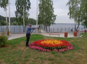 Заречный зацветёт!