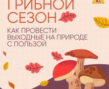 Судя по прогнозам синоптиков, нас ждут теплые выходные!