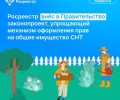 Друзья, важная информация для дачников и садоводов