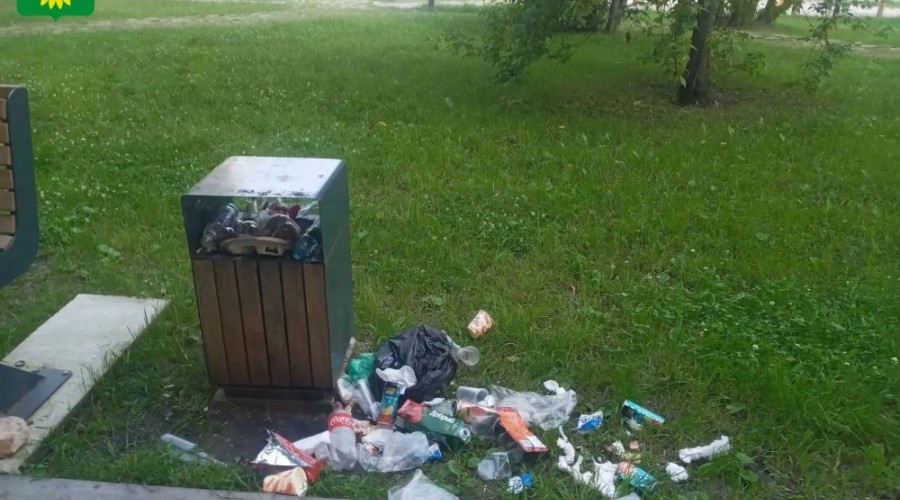 Чистота в Заречном: ответственность каждого жителя и гостя города