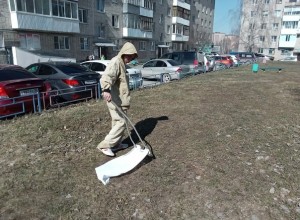 Второй этап акарицидной обработки продолжается
