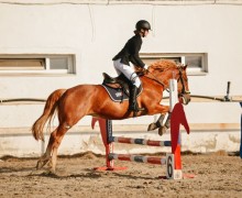 Воспитанницы клуба Добрая лошадь привезли 13 медалей с соревнований!