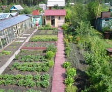 Земельный налог повышать не стали, а льготников добавили