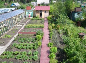 Земельный налог повышать не стали, а льготников добавили