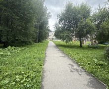 Жители Заречного просят благоустроить тропу через лес или обезопасить дворы