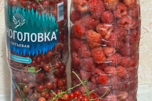 Продам красную смородину и малину