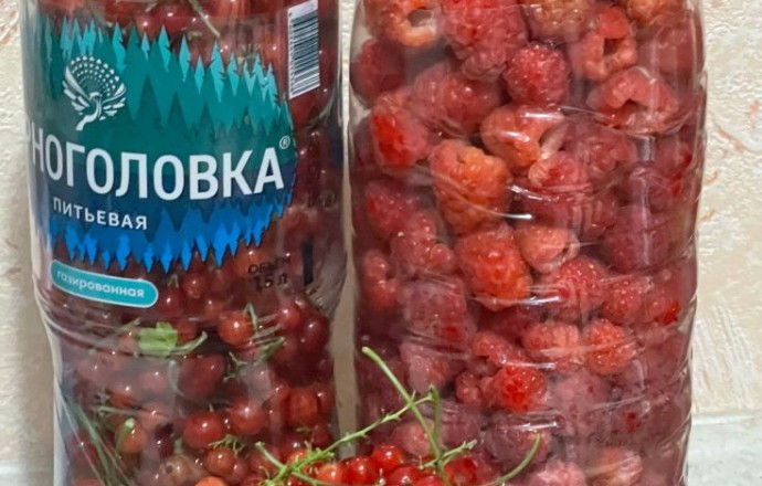 Продам красную смородину и малину