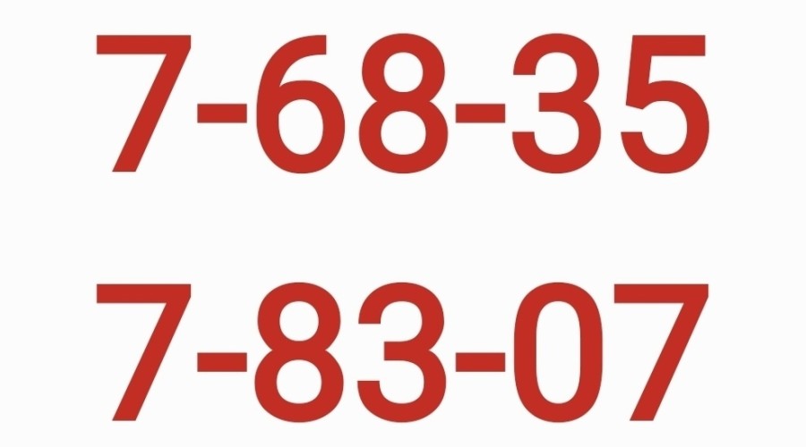 ПО ПОЛОМКАМ на общегородских территориях (городских улицах и детских площадках),