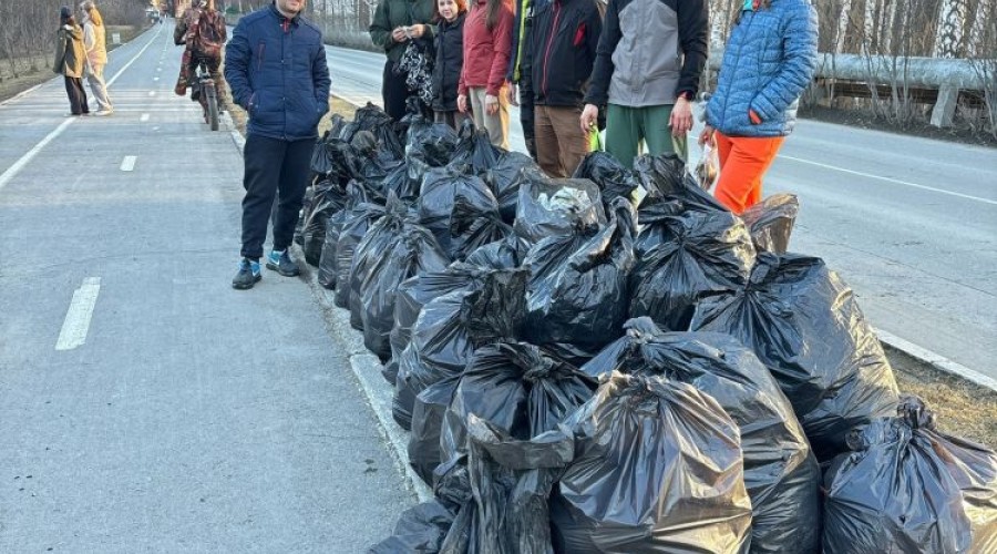 43 мешка мусора собрали зареченские активисты на берегу Белоярского водохранилища