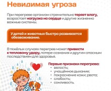 Памятка «Ни минуты без присмотра» напоминает о рисках оставления детей и домашних питомцев в автомобиле